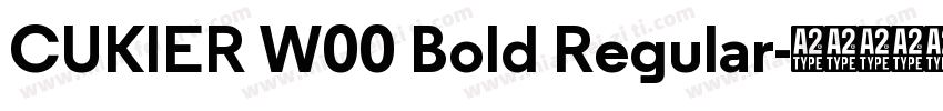 CUKIER W00 Bold Regular字体转换